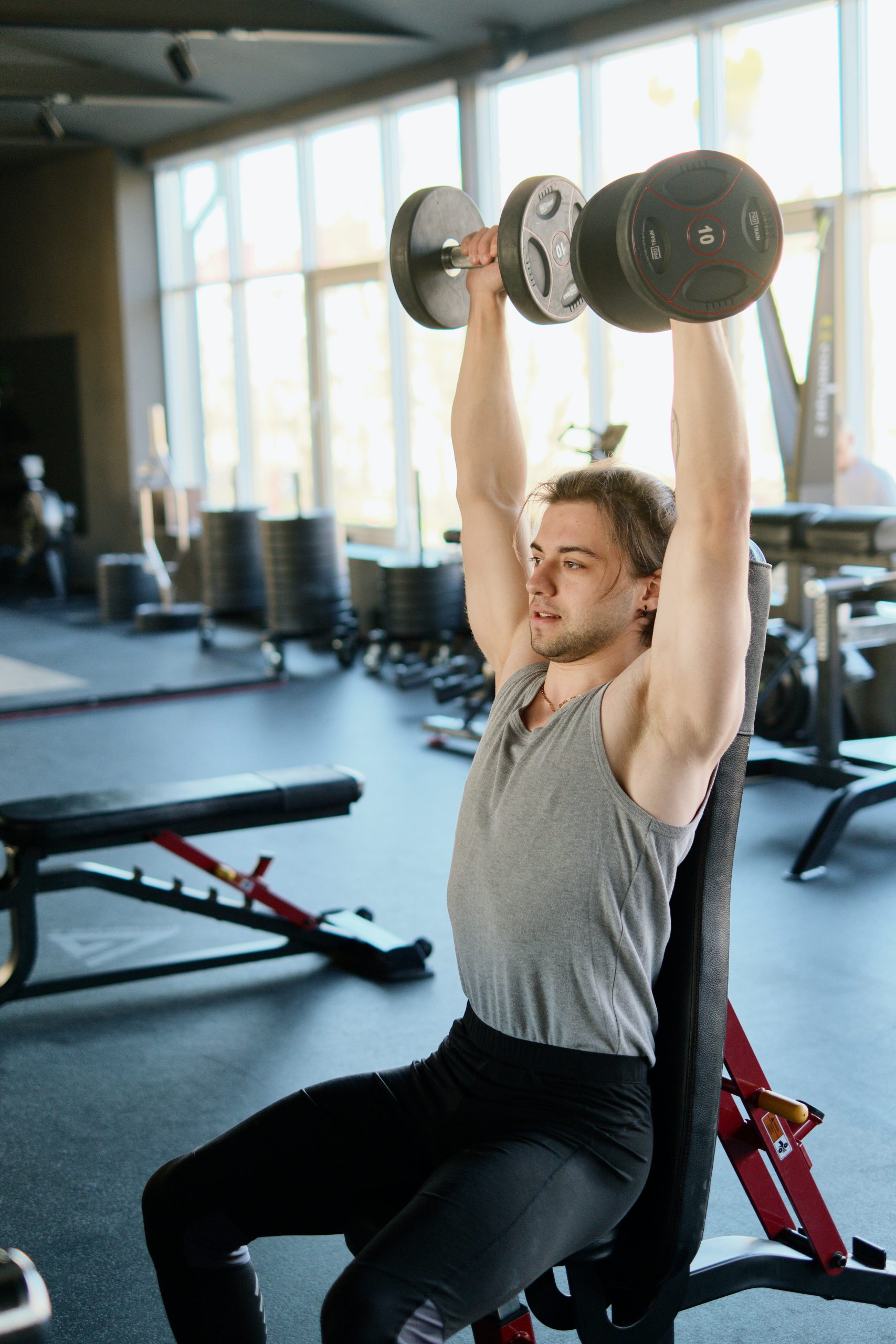 Seated Dumbbell Press Muscles Worked and How To Do It Right