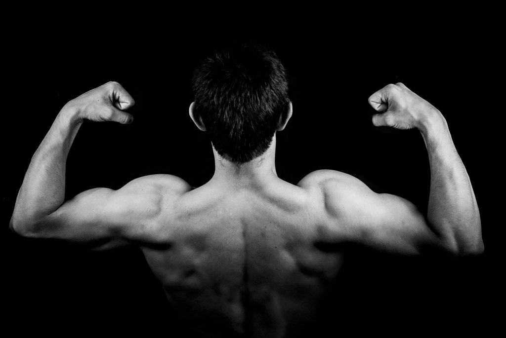 Muscle Groups: Which Muscles Should Workout on the Same Day
